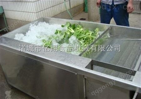斜坡式网带蔬菜清洗机流水线