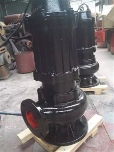 供应QW1800-32-250排污泵