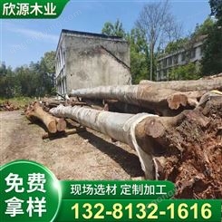 天然金丝楠木 名贵木材市场 厂家 实木家具定做 加工订制