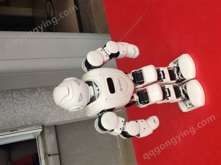 京津冀跳舞机器人 小胖机器人 庆典礼仪机器人租赁出租