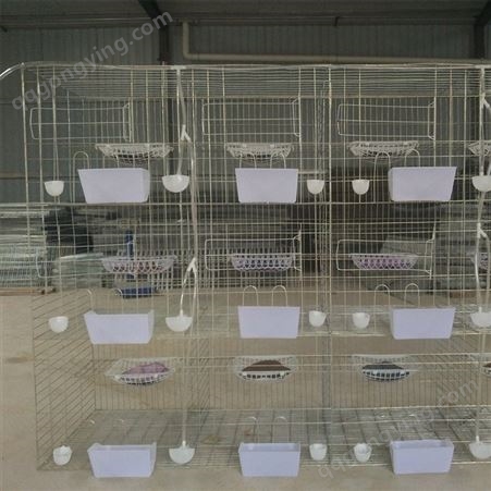 亮华养殖笼具厂家 定做加密鸽笼 肉鸽笼子 4层16位鸽子笼 3层24位