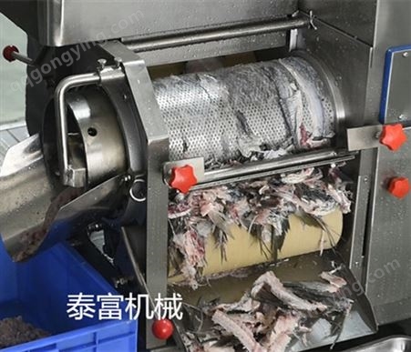 鱼肉采肉机鲅鱼水饺加工设备鲅鱼去皮去骨机